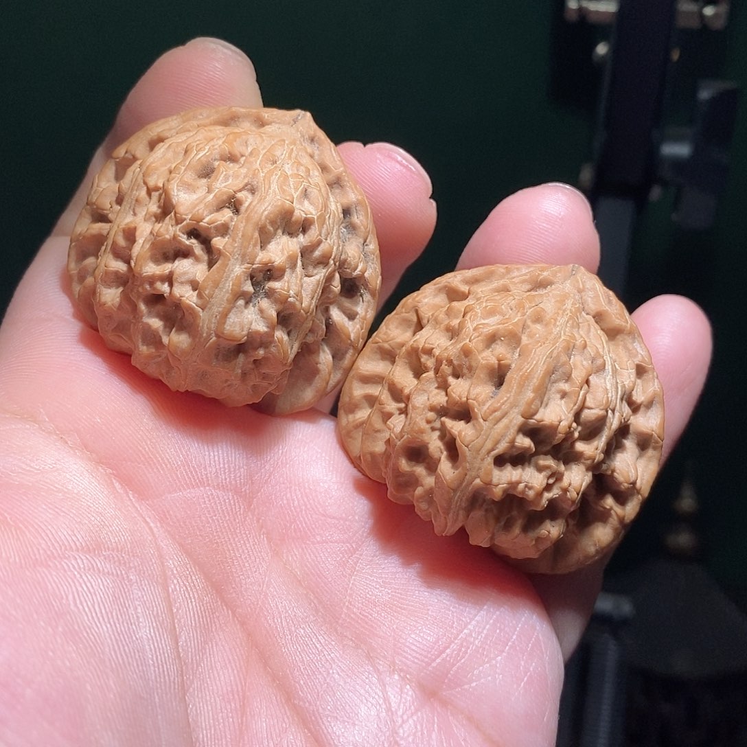 把件文玩核桃41三角白全品