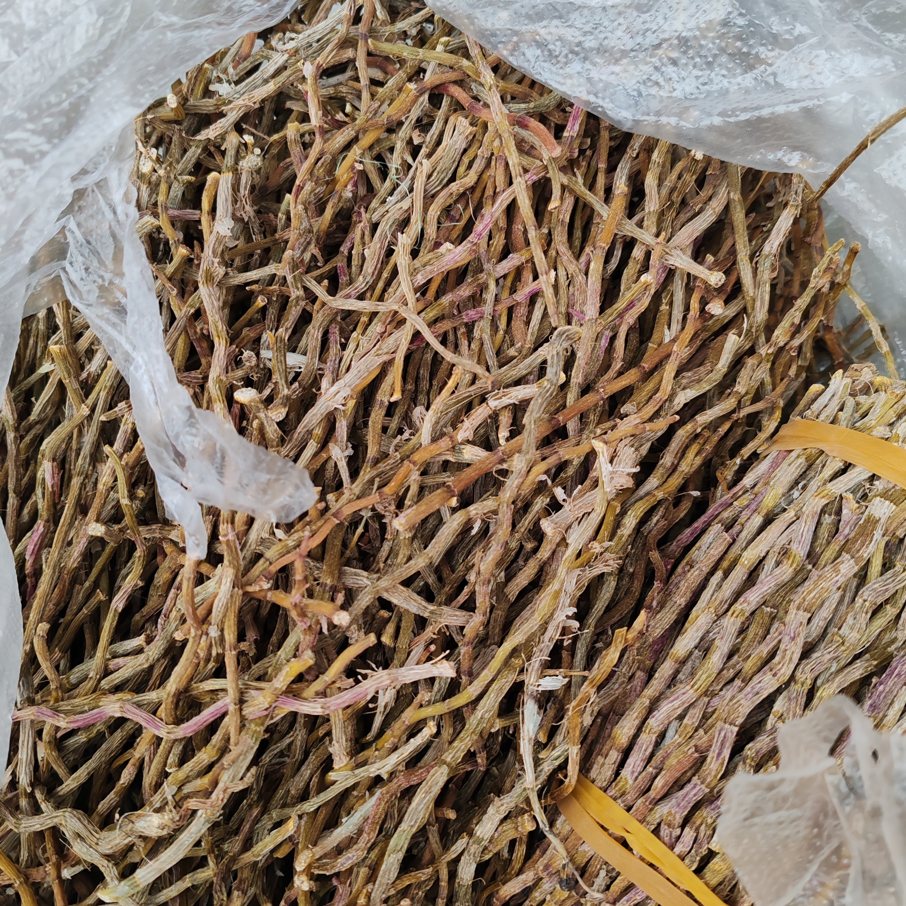 一品香珍品好物是胡菇