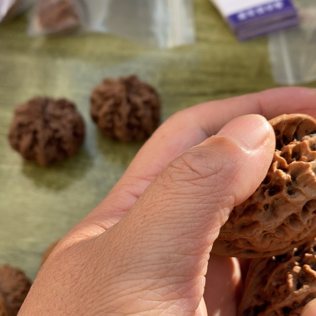 秦岭南侧和东北的山门