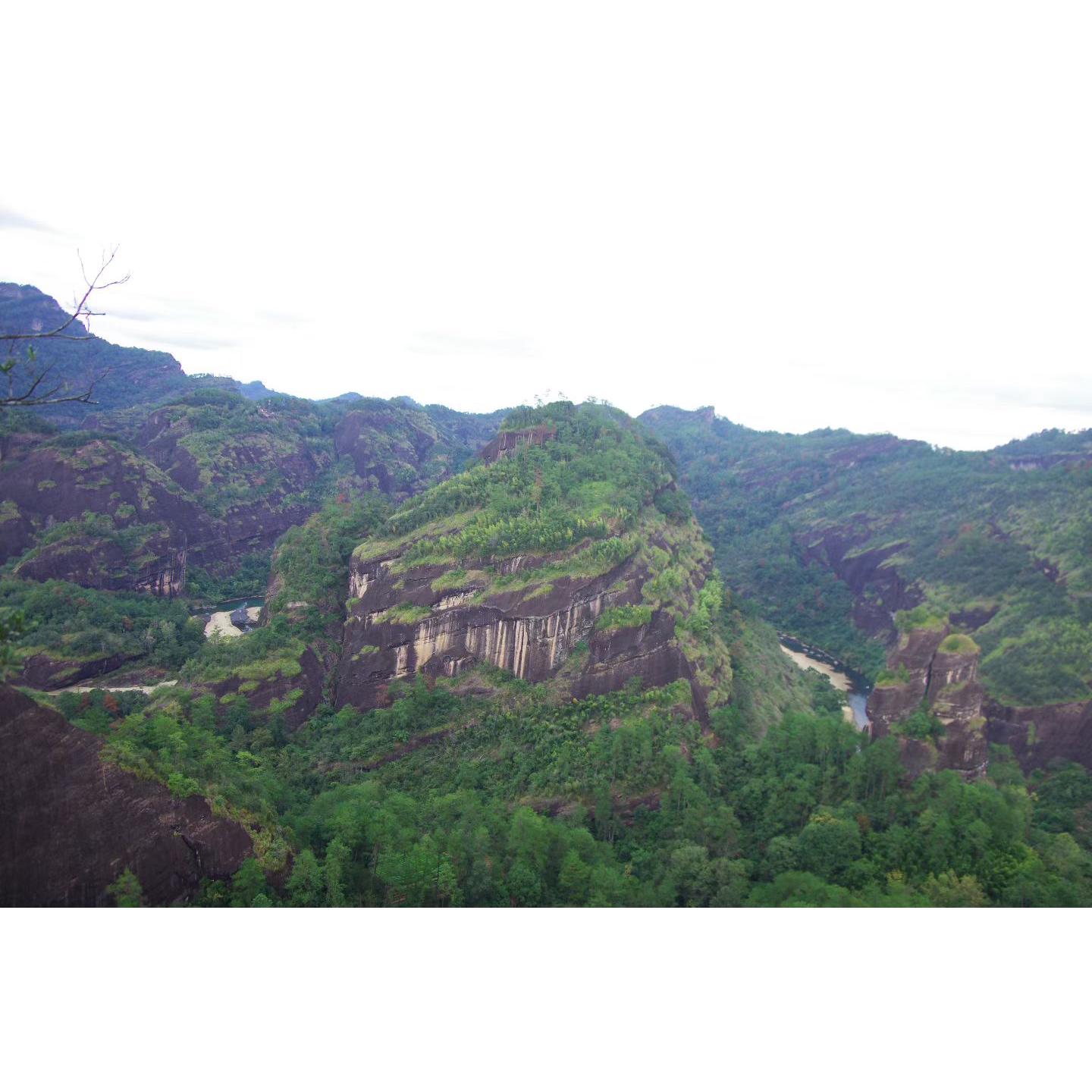 武夷岩茶名枞玉麒麟散茶251克