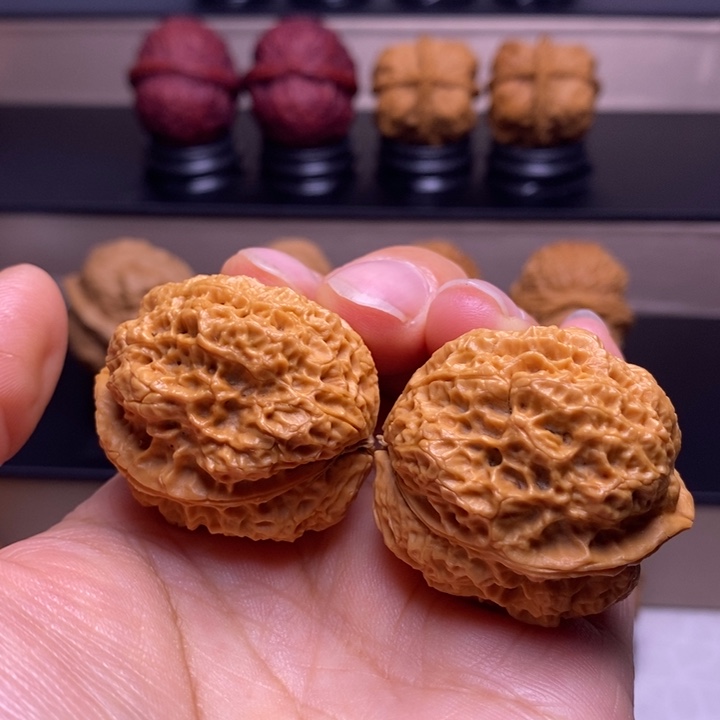 文玩核桃把件火凤金蟾30