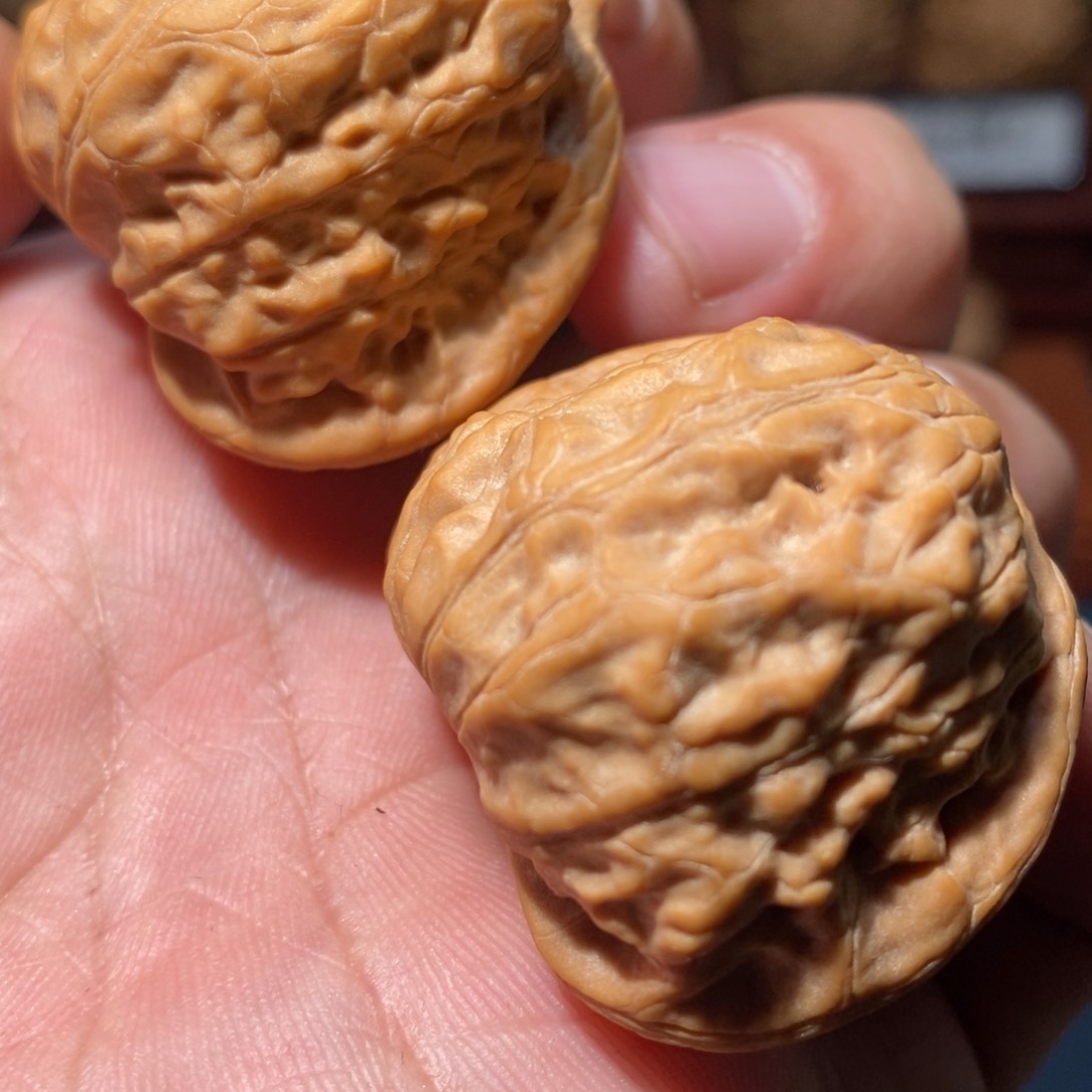 文玩核桃把件凤凰山全品