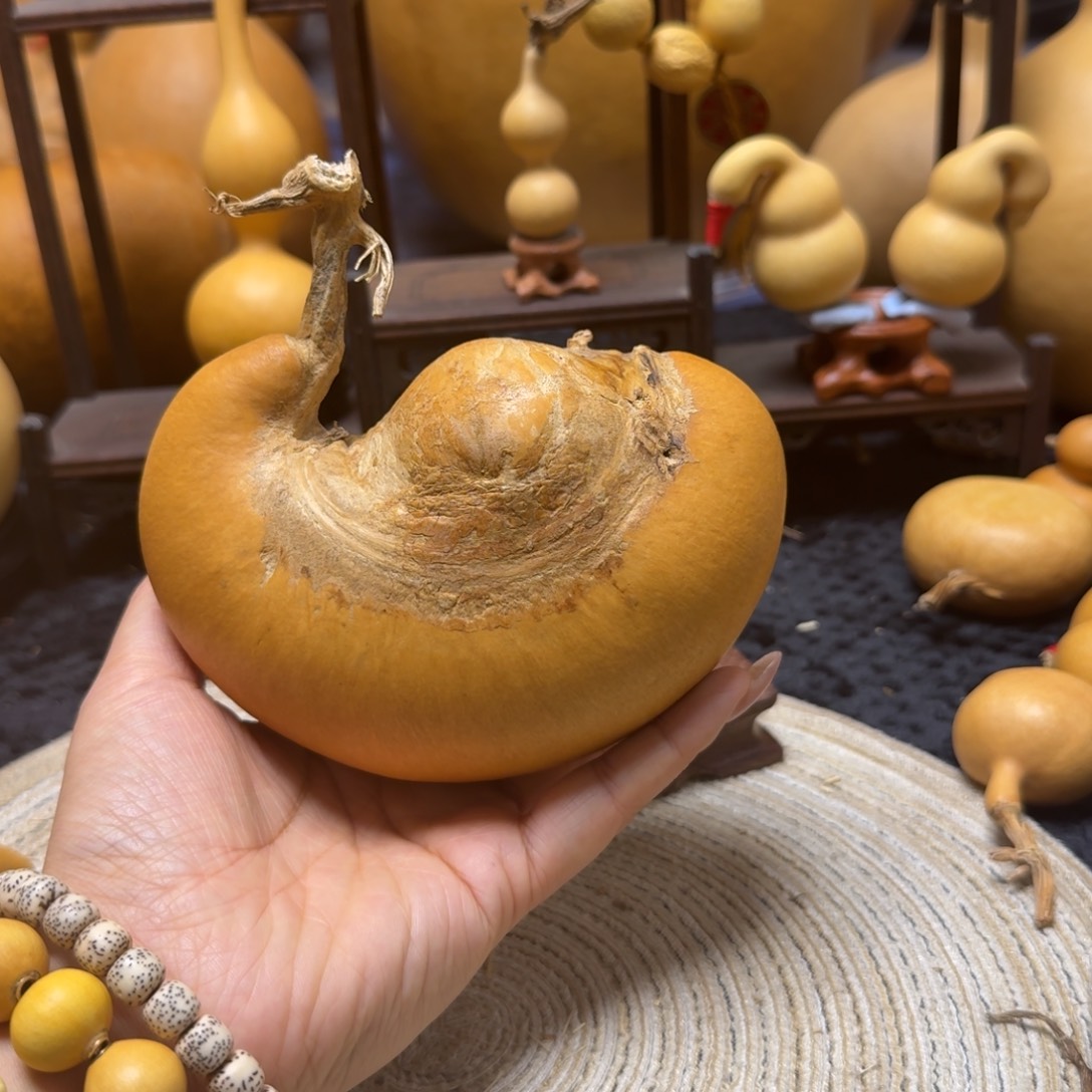 可***雅大财包腰子嘎嘎漂亮