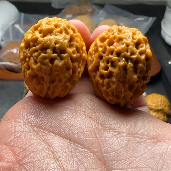 文玩核桃把件35尺小玉米