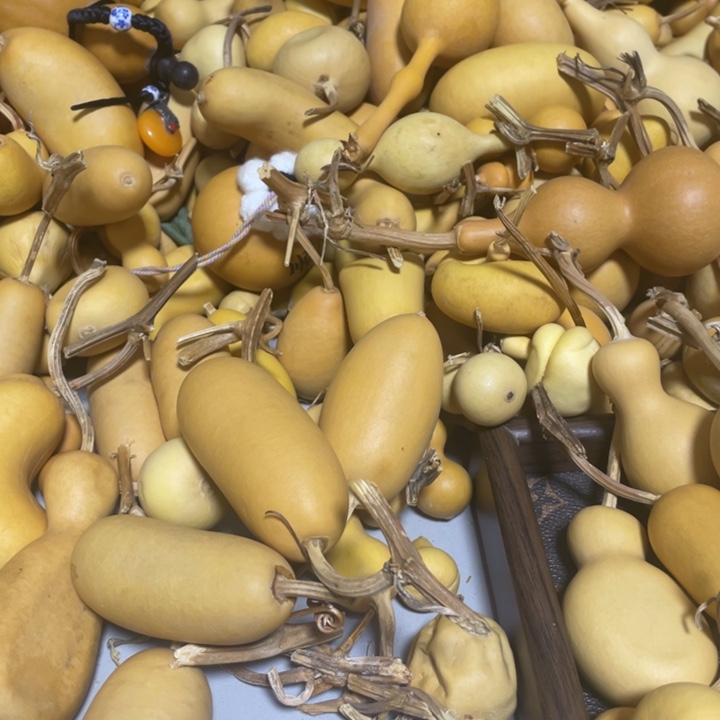 晨***妈哈哈哈哈哈哈哈哈葫芦