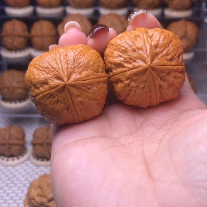 把件文玩核桃28号御宝四楞36尺