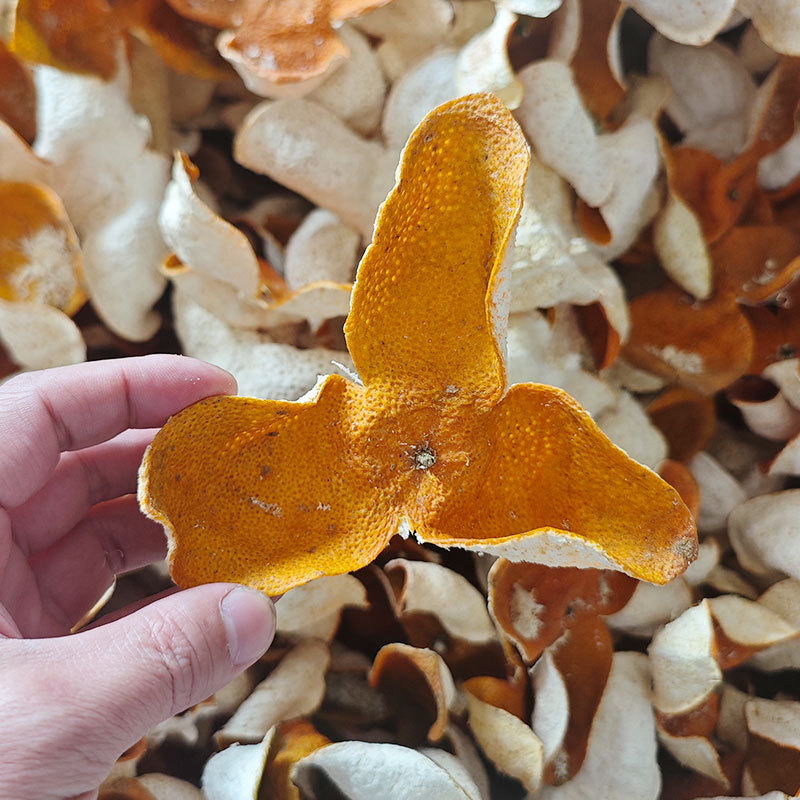 2025正宗新会原枝柑8年老树大红皮