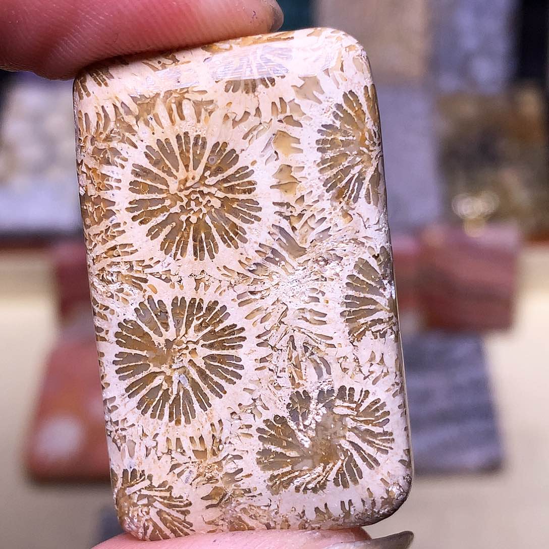 硅化玉珠宝奇石合金～***～