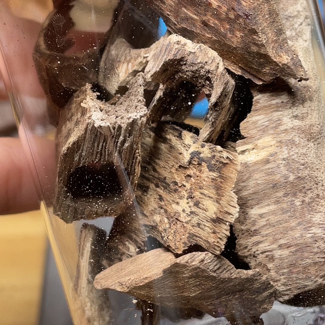 老***大沉香海南壳料20克