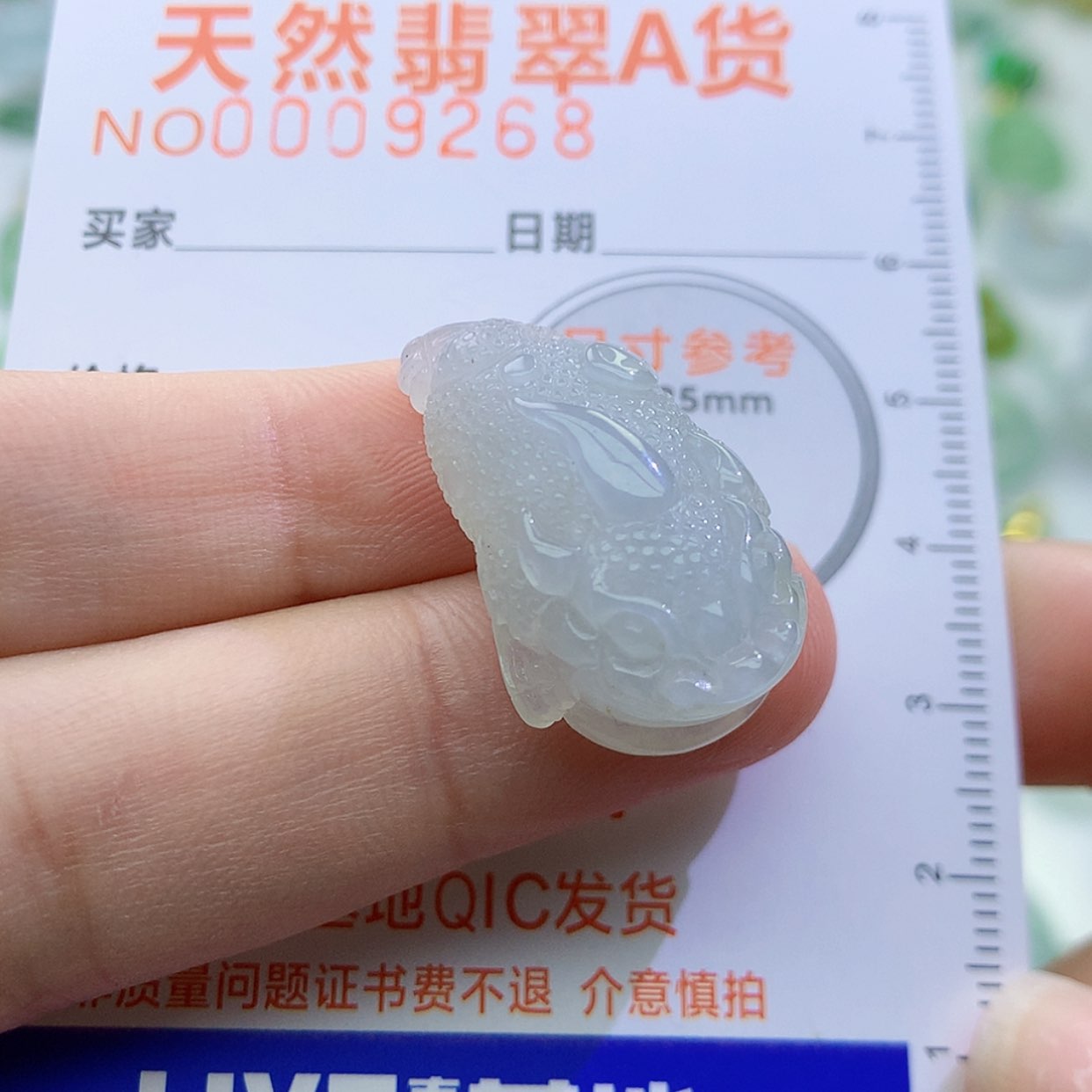 【闪购商品】翡翠颈饰未镶嵌颈饰4