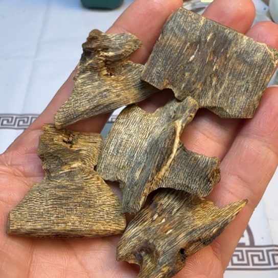 沉香摆件海南千里香沉水原料19.8克