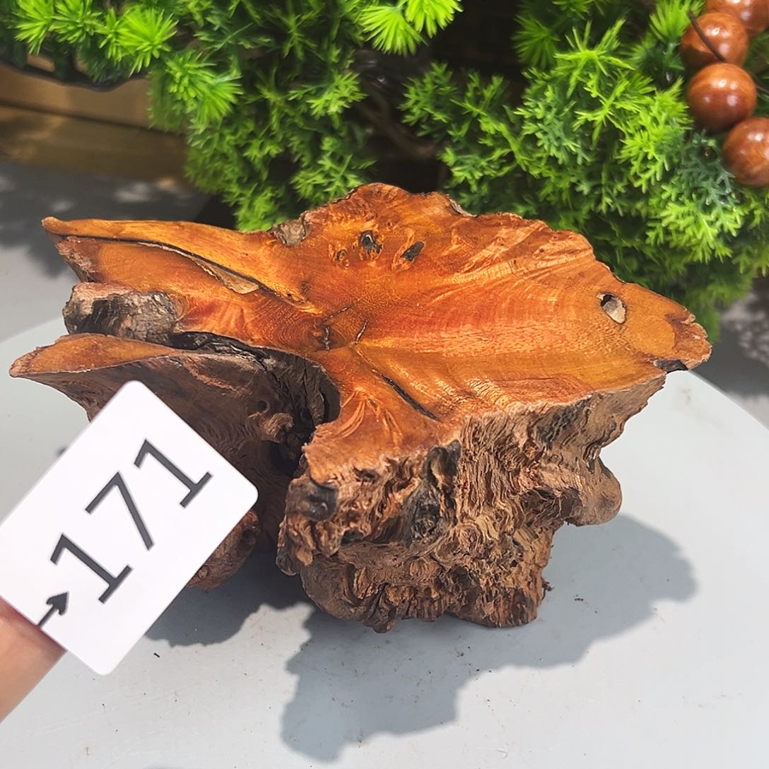 香榧木轻*火琉璃……