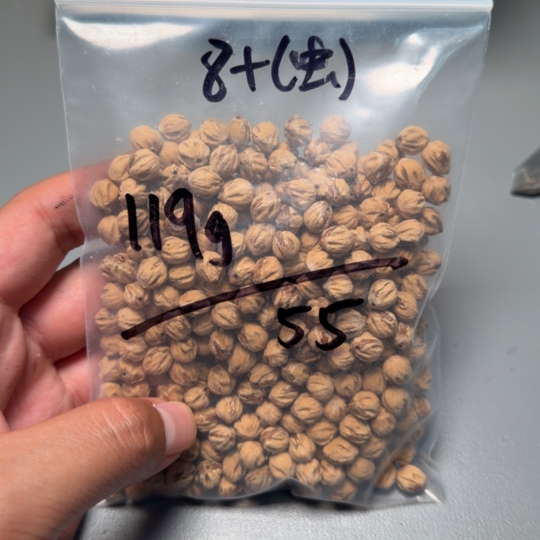 ****Z吊坠柏香籽/百香籽