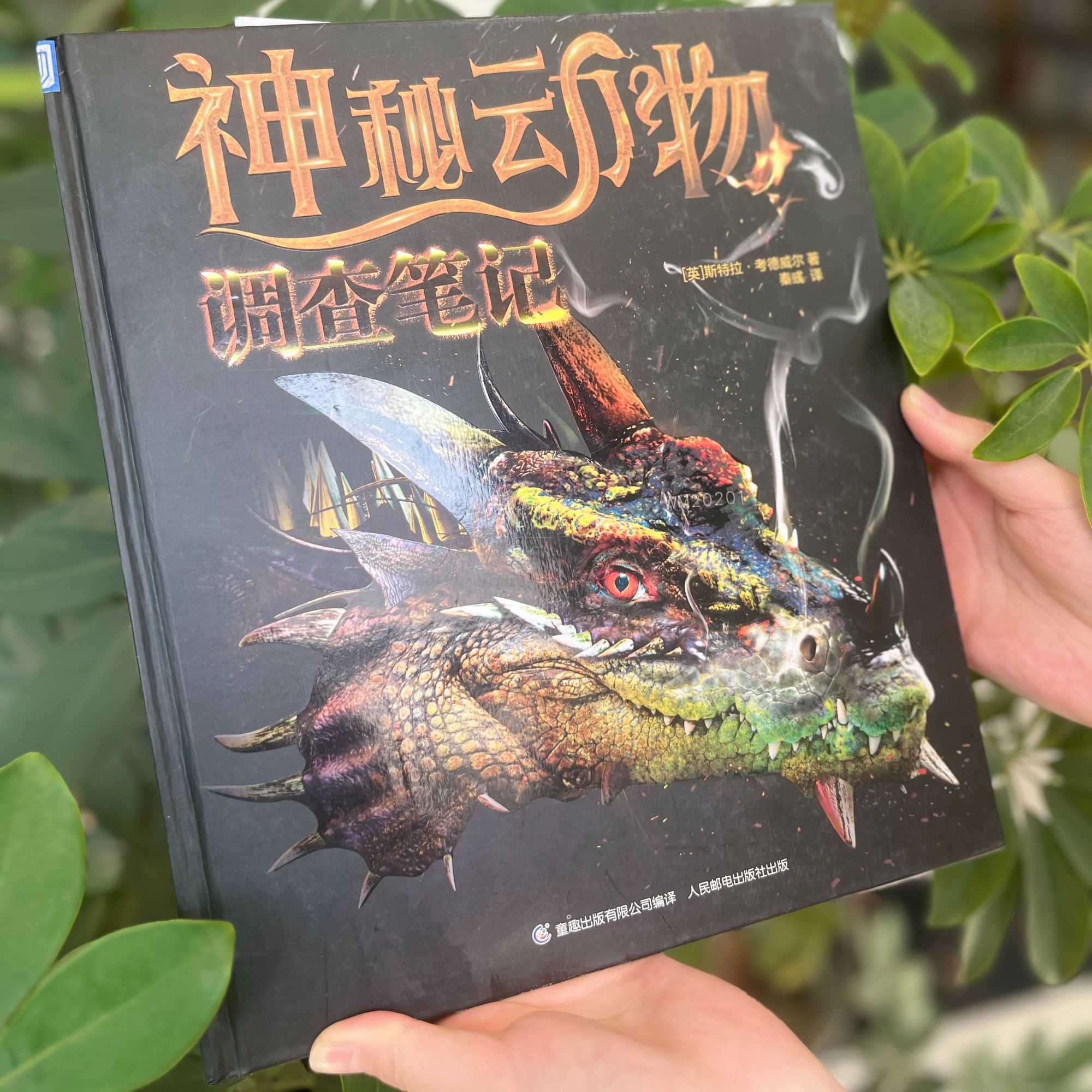 微瑕款 神秘动物调查笔记