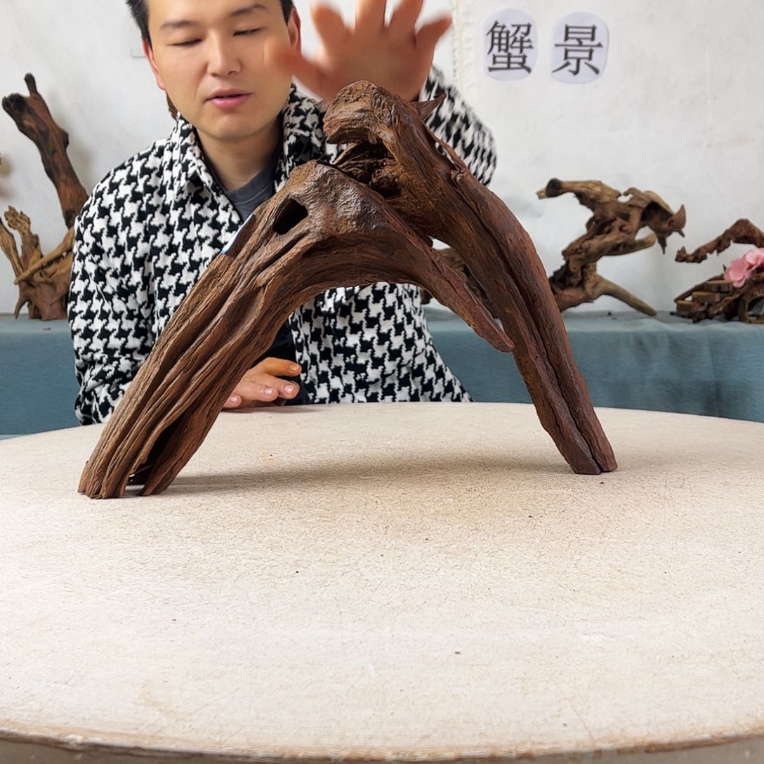 沉木造景爬宠造景