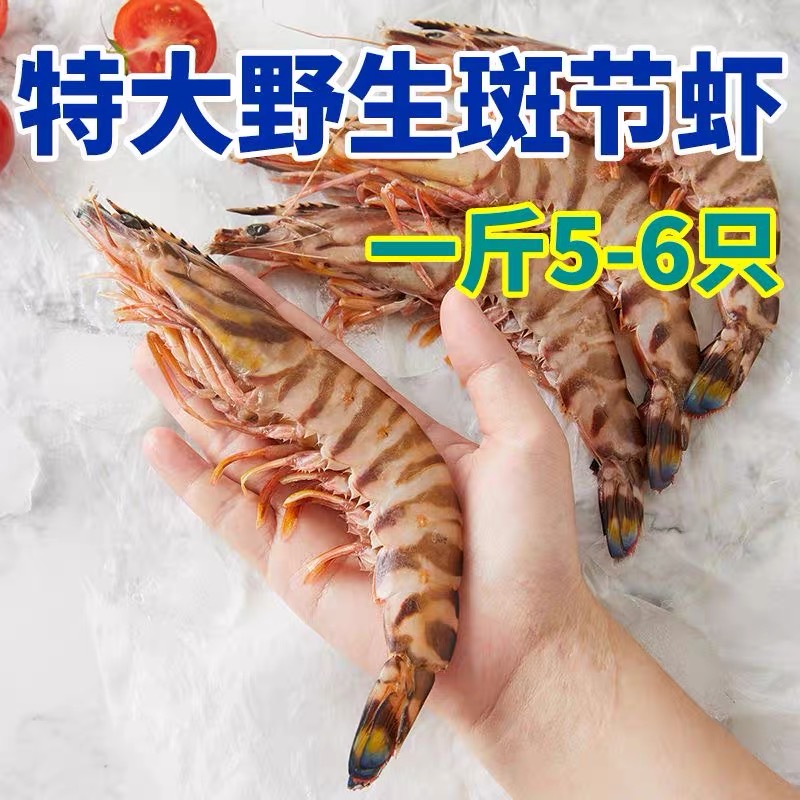 5-6条一斤/只18-19厘米 海捕野生斑节虾竹节虾 顺丰鲜活速冻发