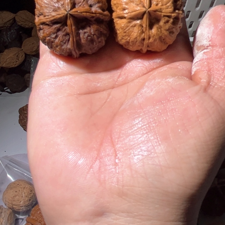 文玩核桃吊坠滇西铁核桃9