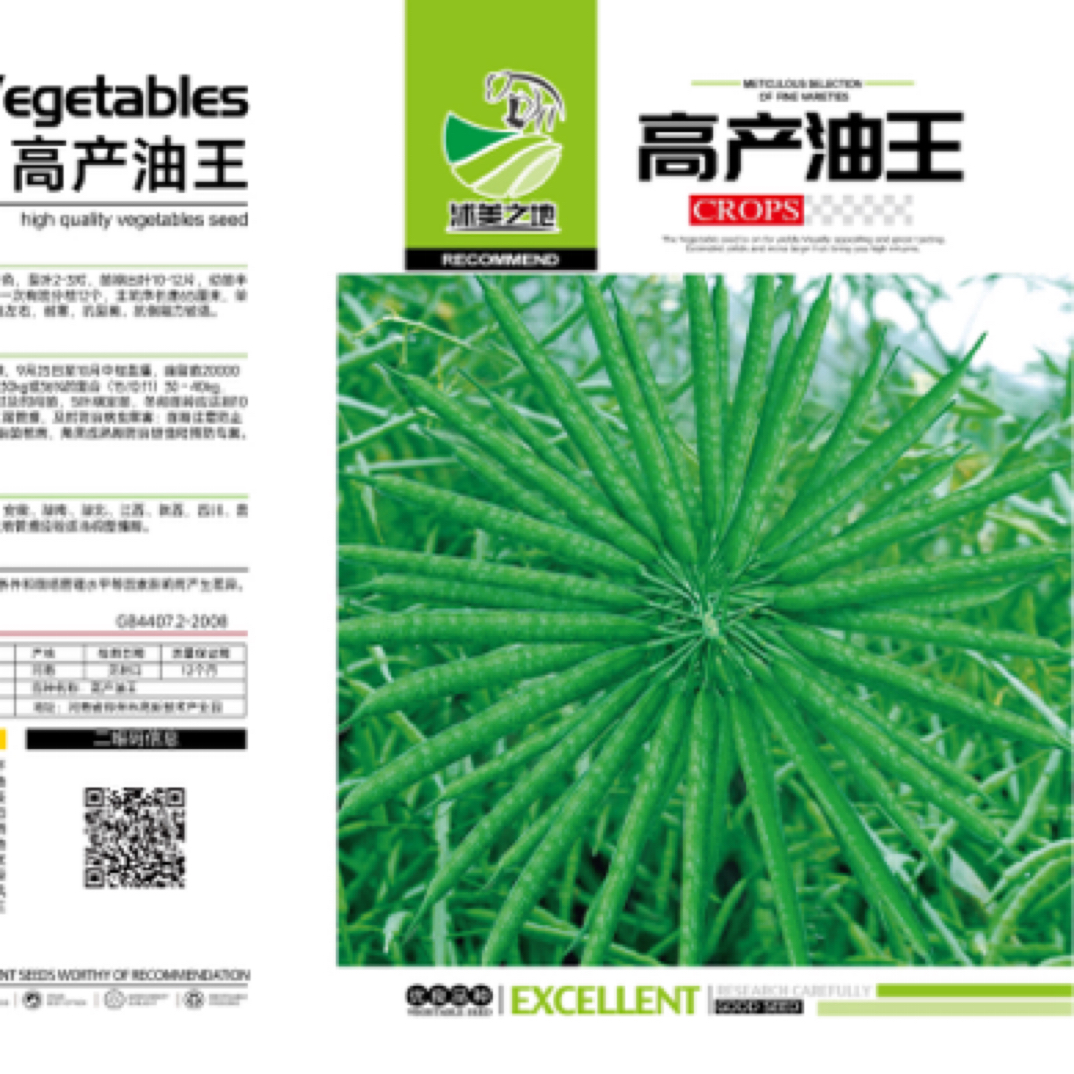 高产油菜种子绿化观赏油菜花种子榨油原料油菜种子多地方适合播种