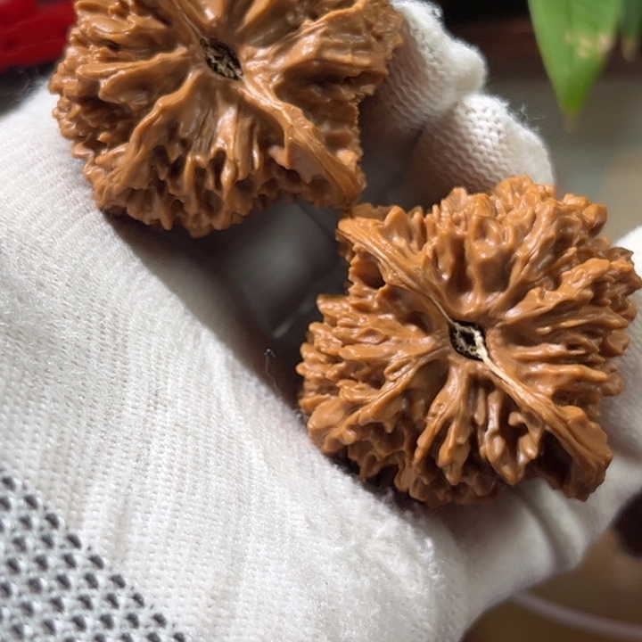 文玩核桃吊坠翁*宝满天星