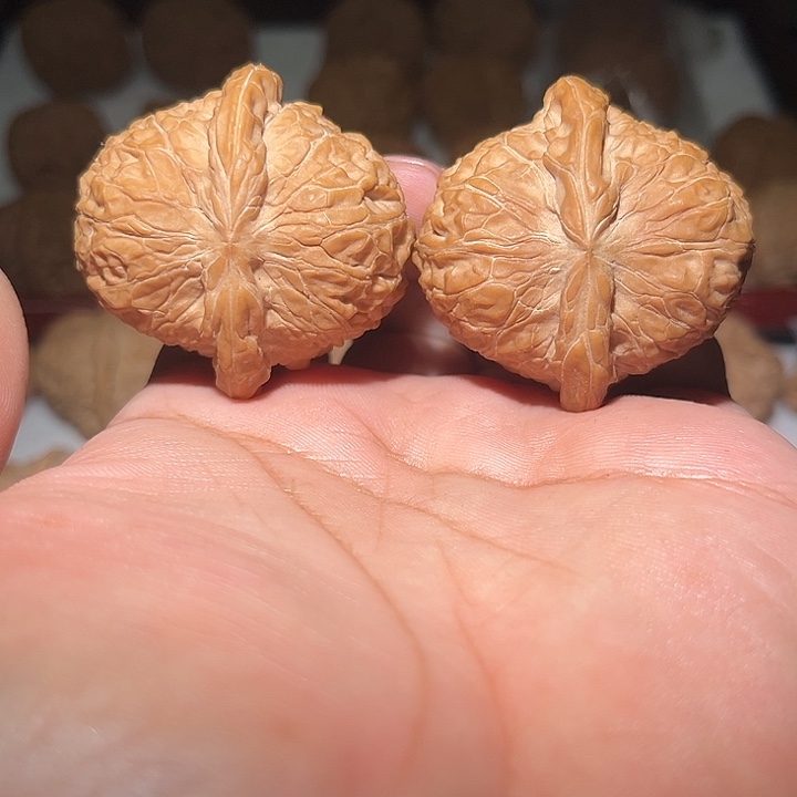 鑫****木44南瓜敦。       