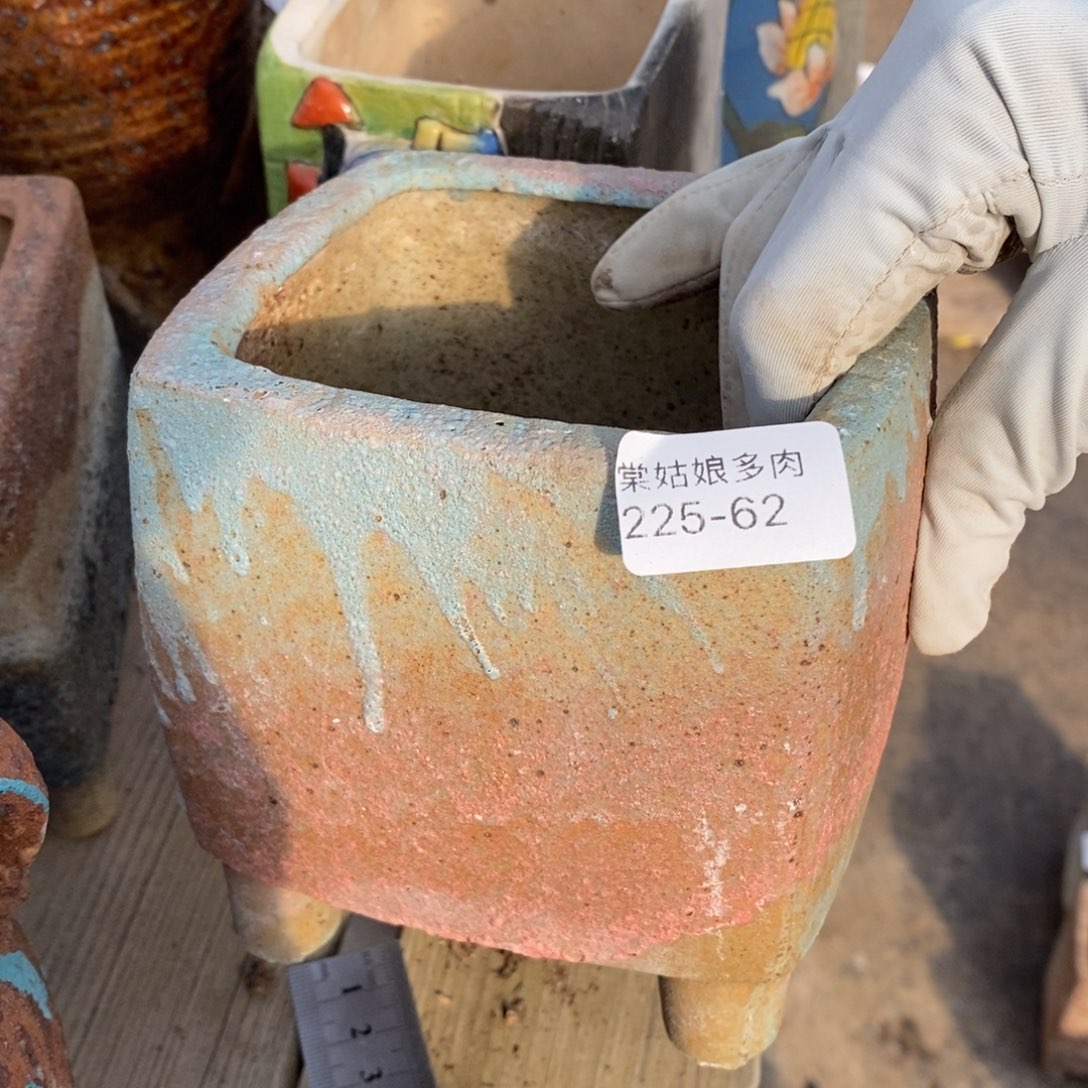 红陶王**～62号链接一个