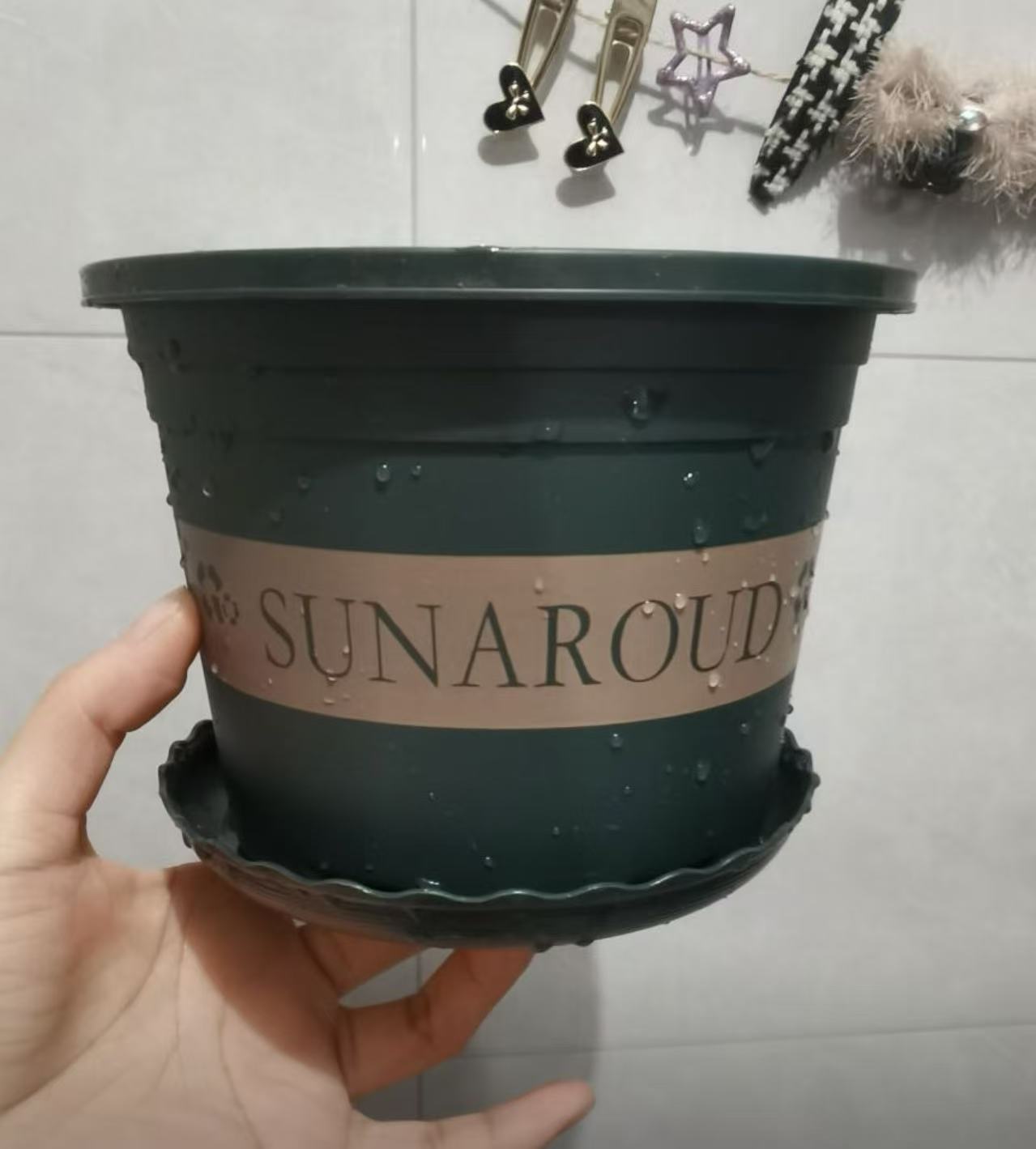 郁金香种植盆+种球专用土