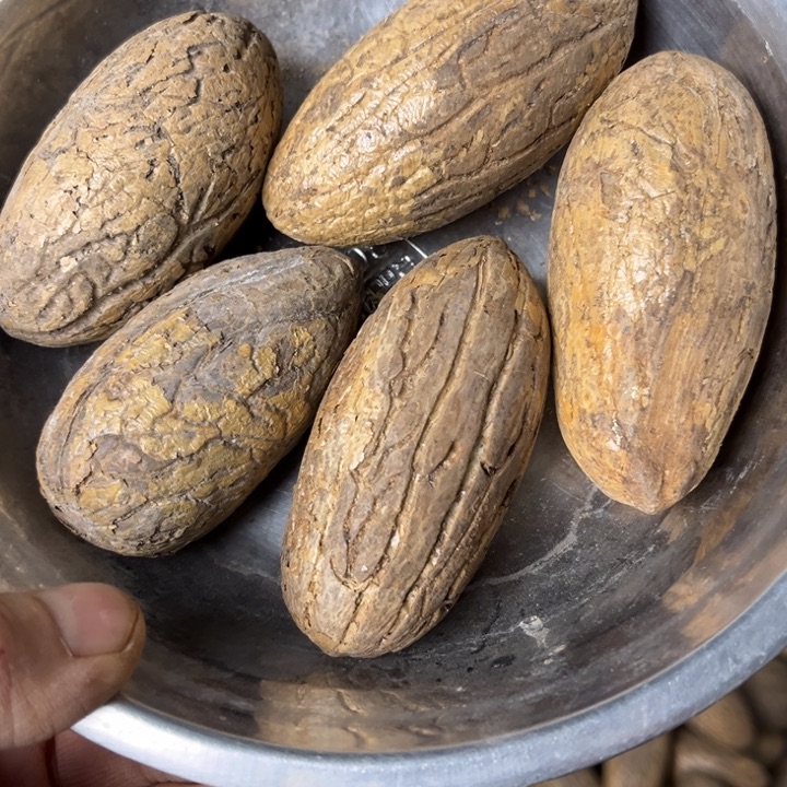 吊坠千眼菩提沁园菩提58号