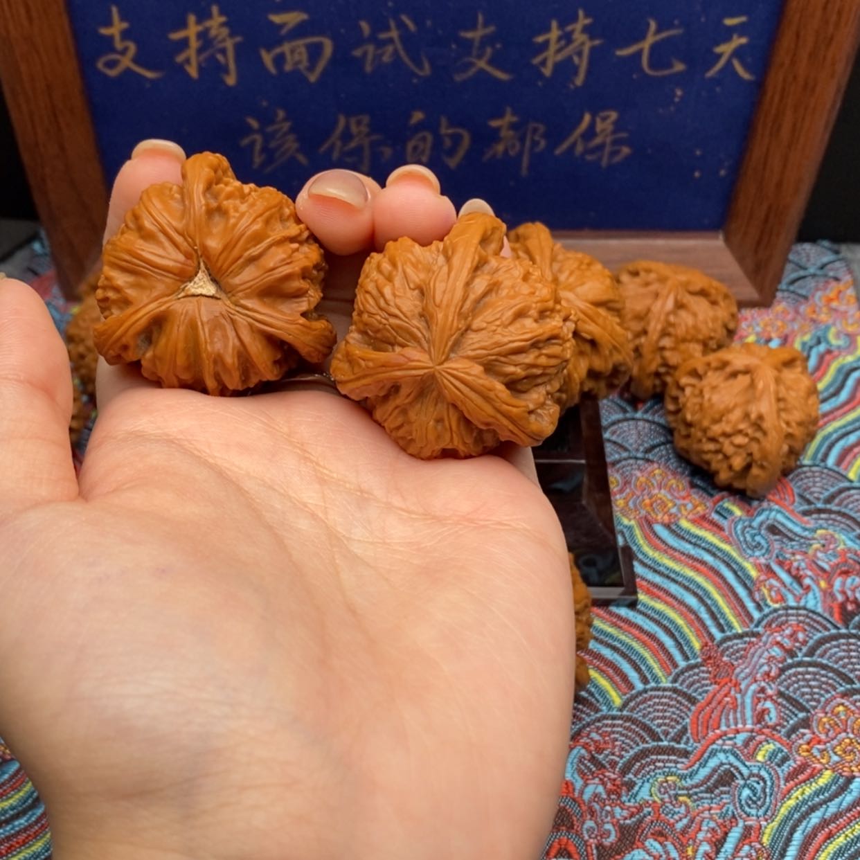 【闪购商品】秋***叶白狮