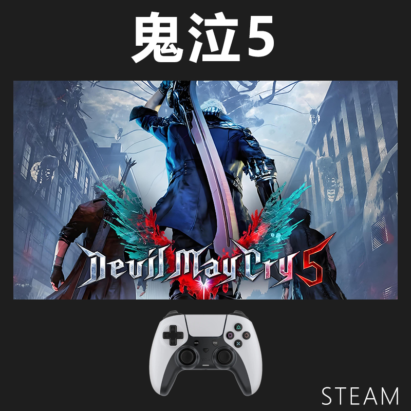 【鬼泣5】steam游戏入库支持 PC无线游戏手柄蓝牙有线双人
