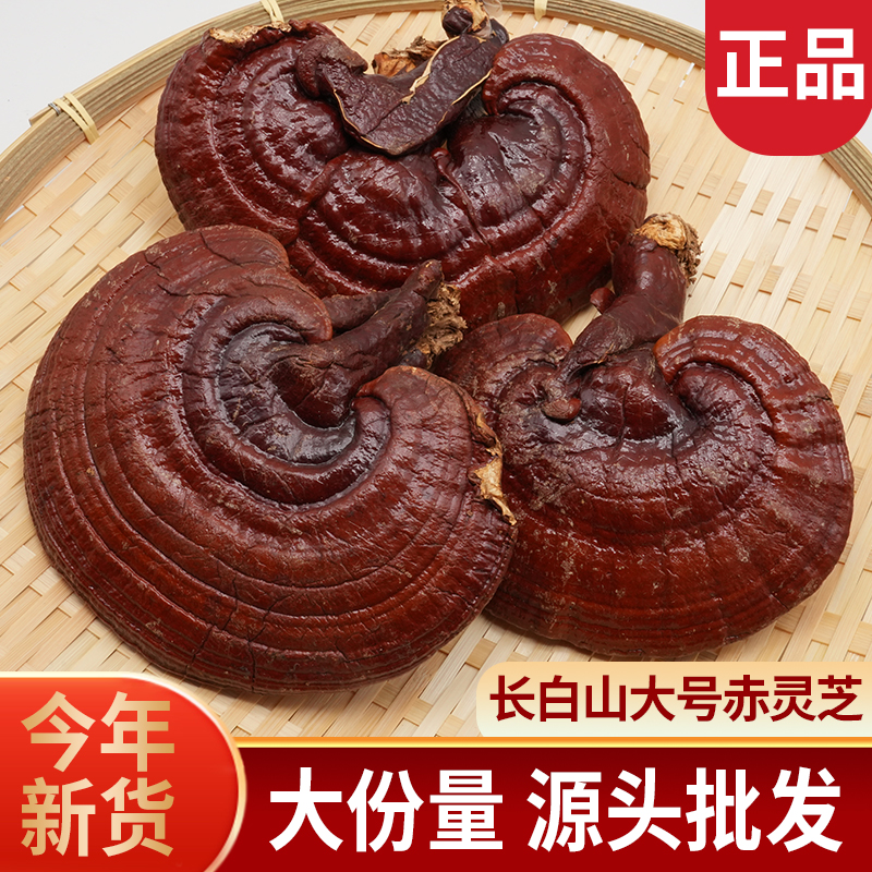 粒然堂正宗赤灵芝精选长白山正品泡酒源头厂家直销整枝泡酒泡水喝