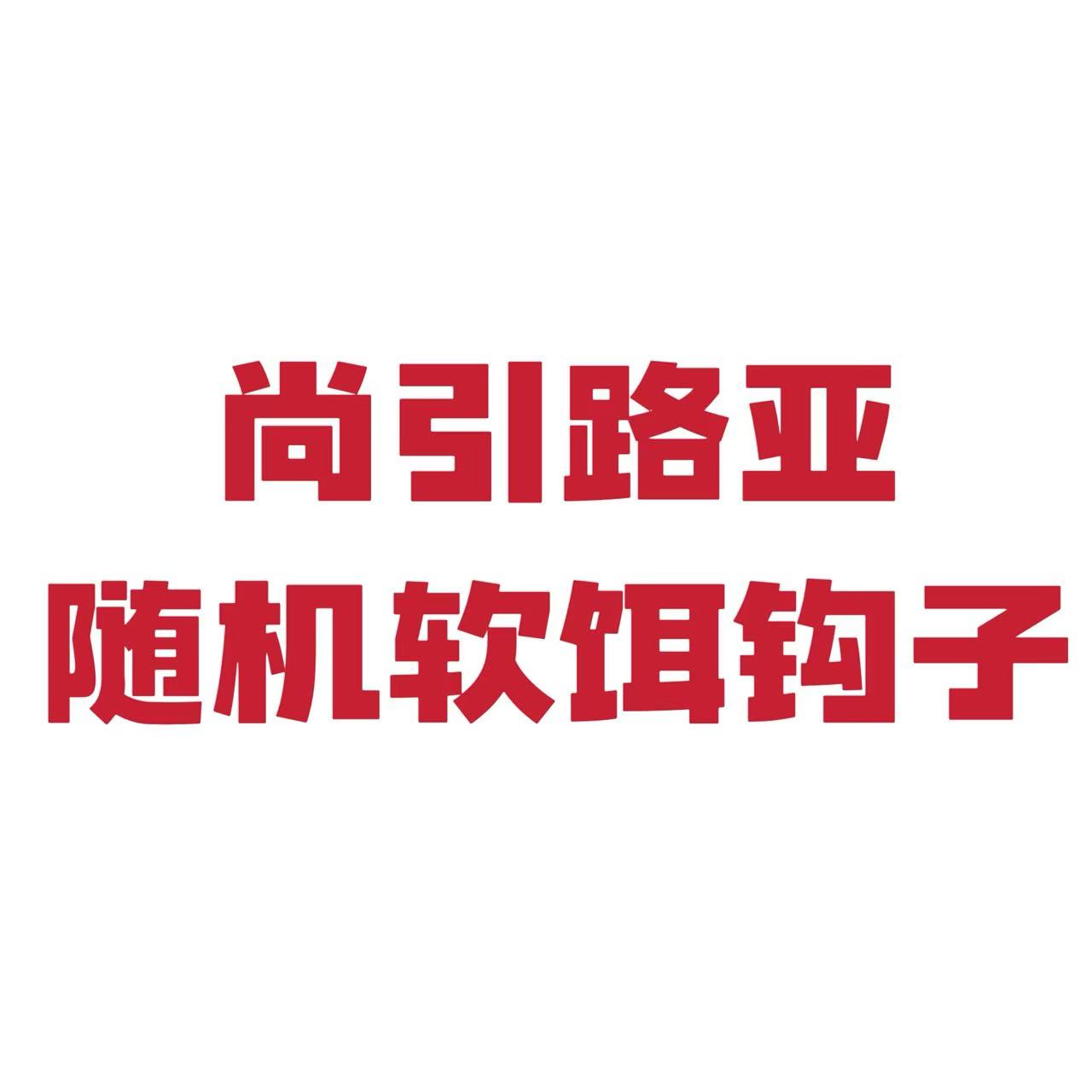 尚引路亚随机软饵钩子