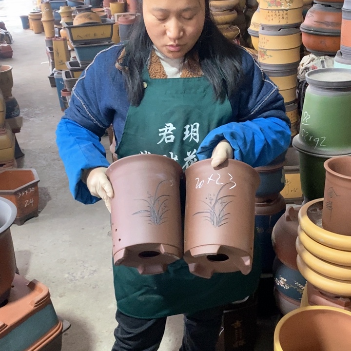 紫砂花盆盆栽花卉苗木种植