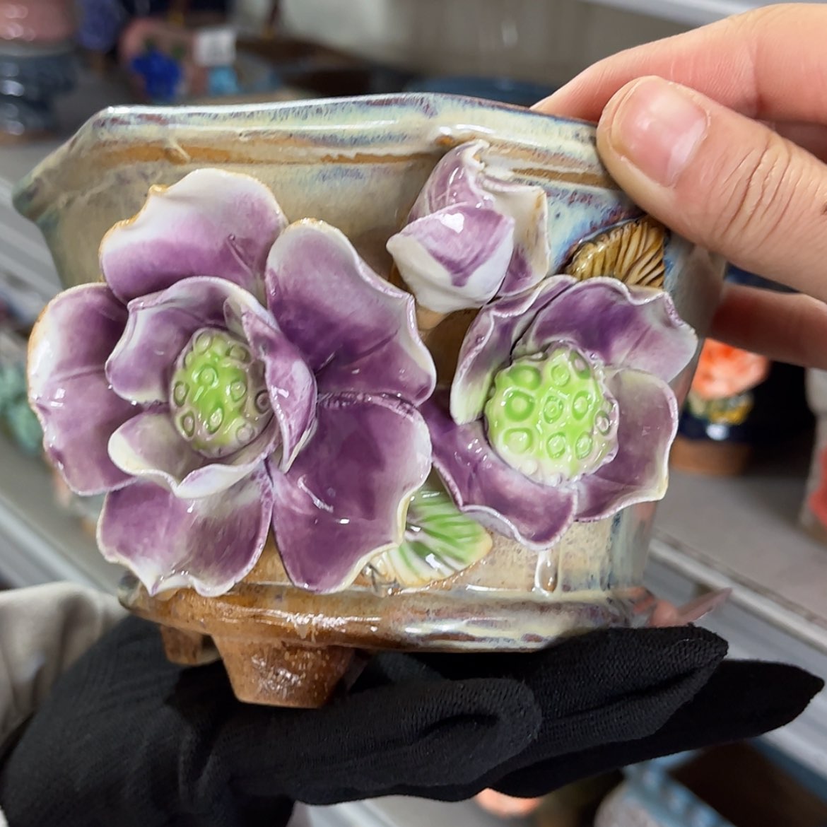 【闪购商品】红陶福利