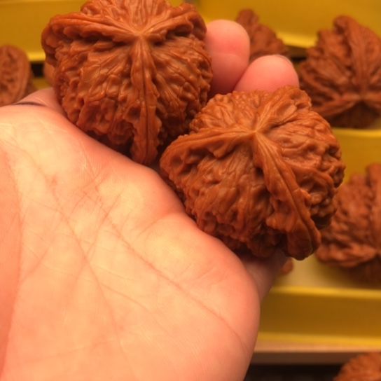 不***菜核桃核桃核桃核桃