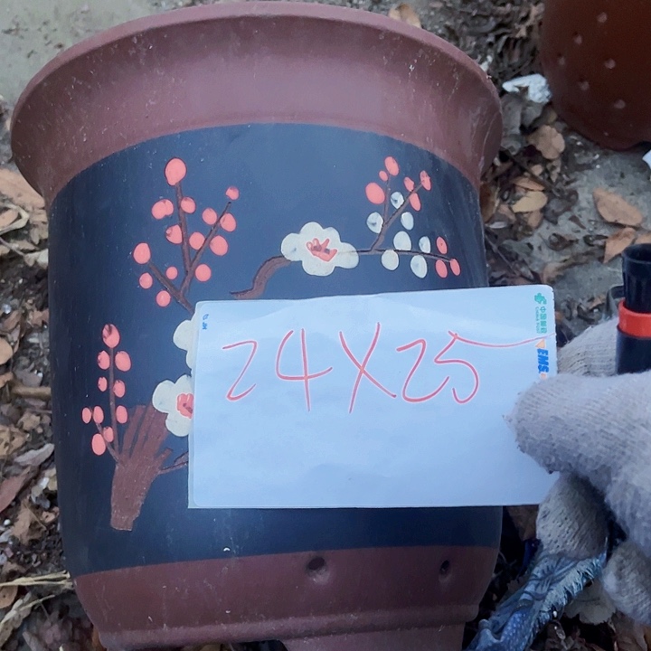 花盆紫砂1111111111