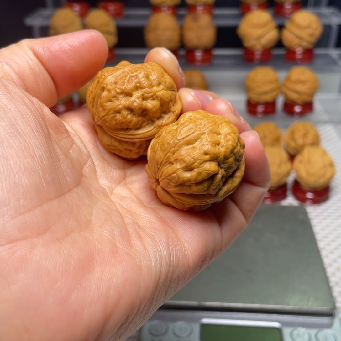 文玩核桃把件18肌肉蟾