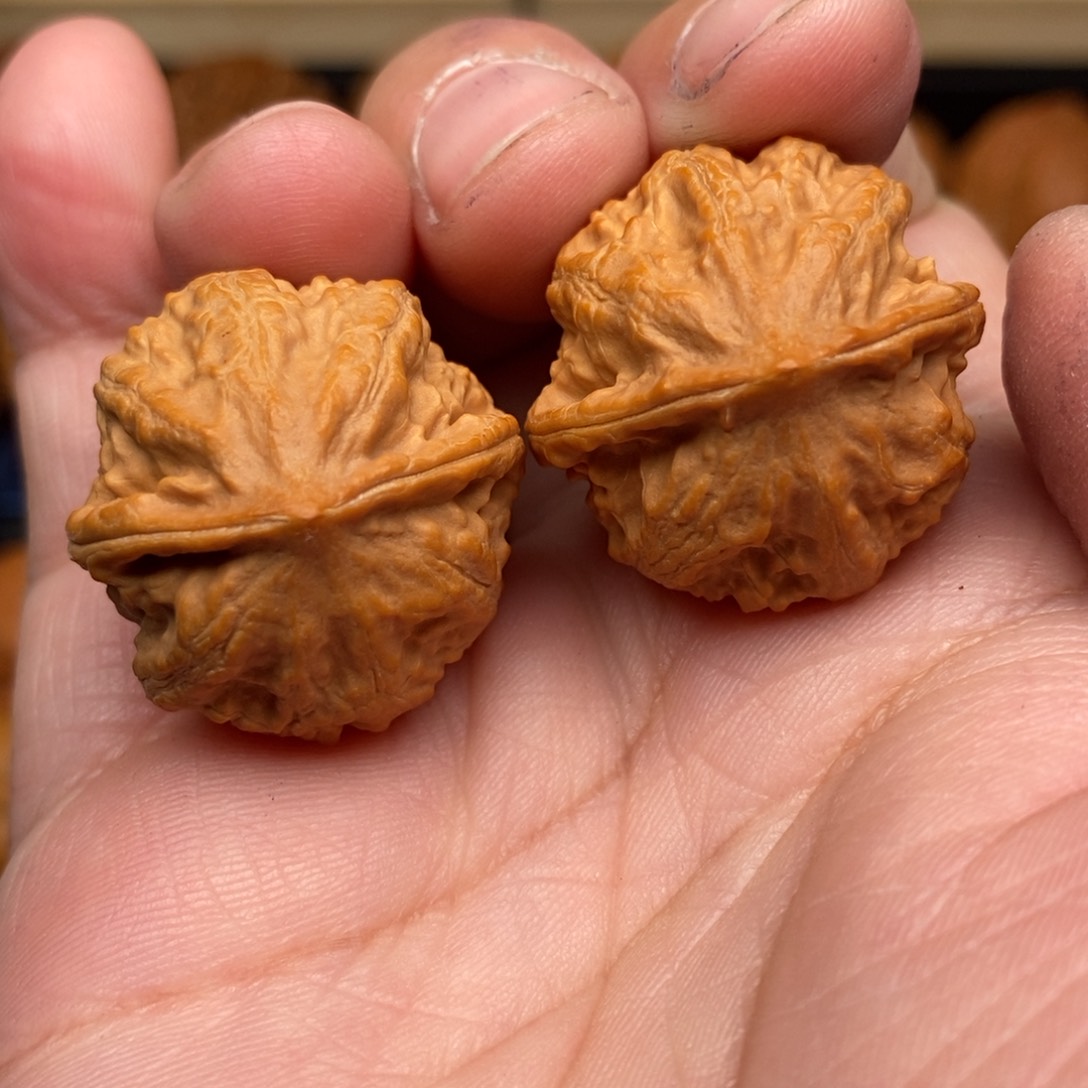 文玩核桃把件手捻粗筋