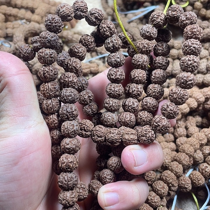 金刚菩提吊坠老云端梅花王一条保108