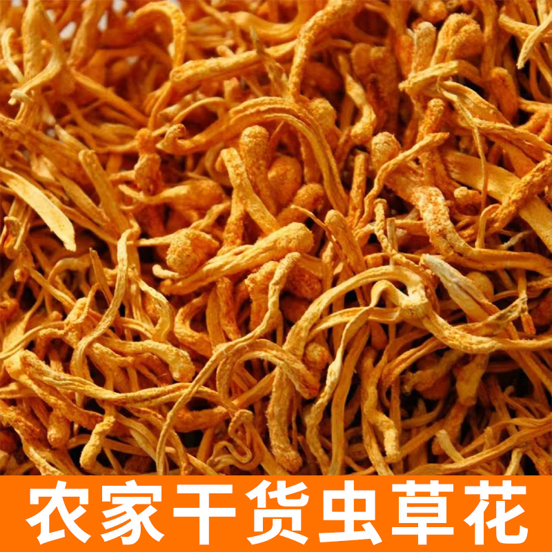 虫草花 2两装 农家好货 农家自种 自然晾晒