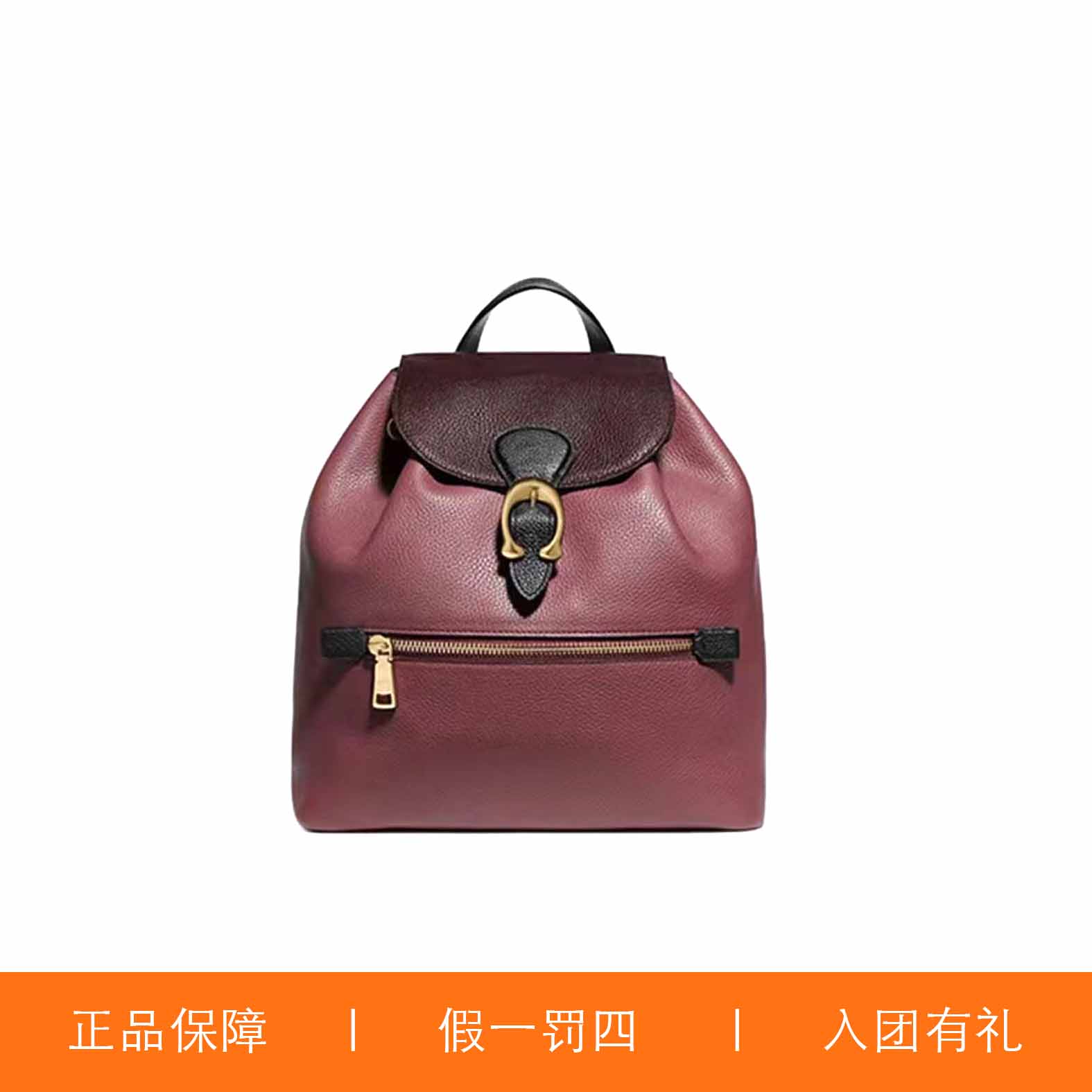 95新 COACH/蔻驰 蔻驰拼色C扣双肩包/F1499/25X31X12