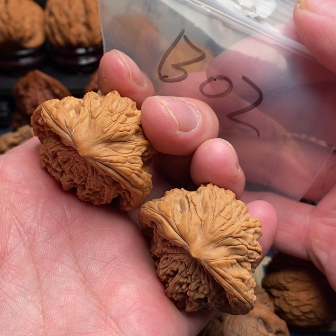 文玩核桃把件咖**生43虎头蛇