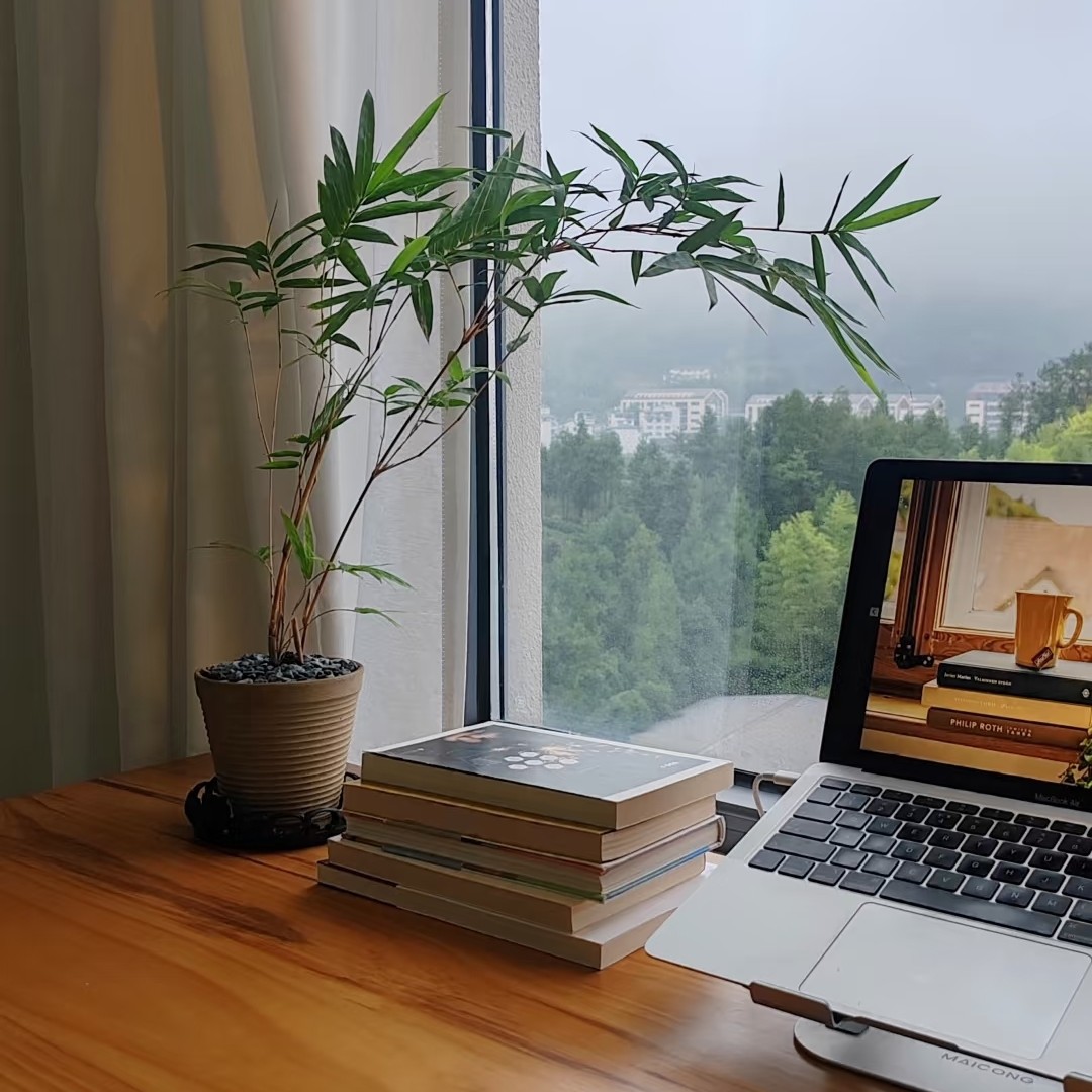 内门竹 紫寒竹 红寒竹 红观音竹室内观赏盆栽好养易活 （一物一拍）