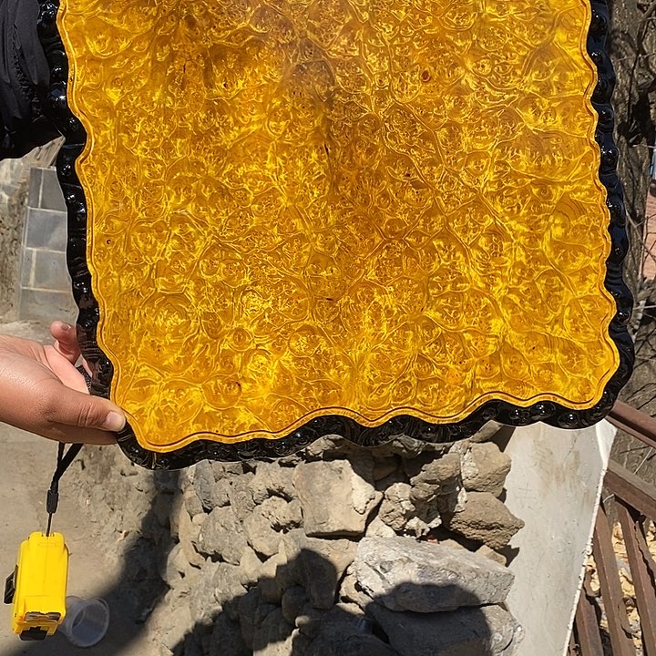 0***？黄金樟干泡茶盘40.39.2.3