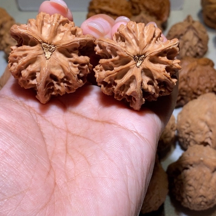 高***进手串/手链核桃三棱39