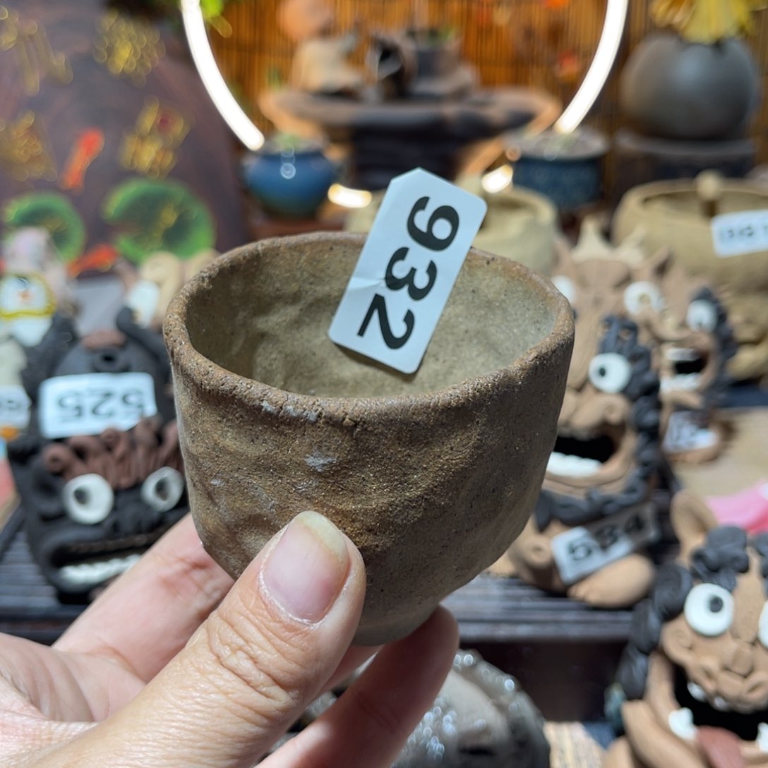 木村信弘柴烧保平