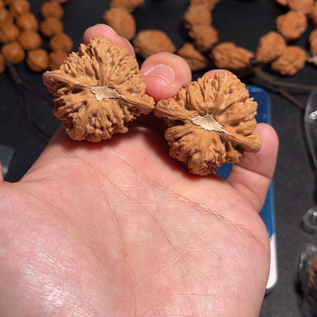 40全品石膏凹底密纹狮子头