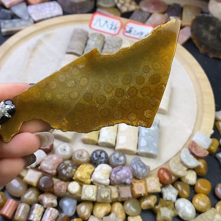 针钠钙石（海纹石）未镶嵌颈饰9