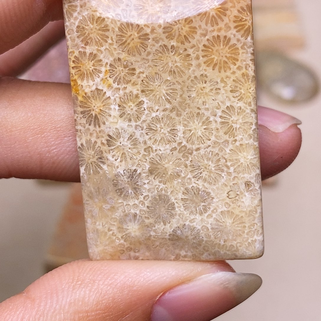 O***g硅化玉合金珊瑚玉