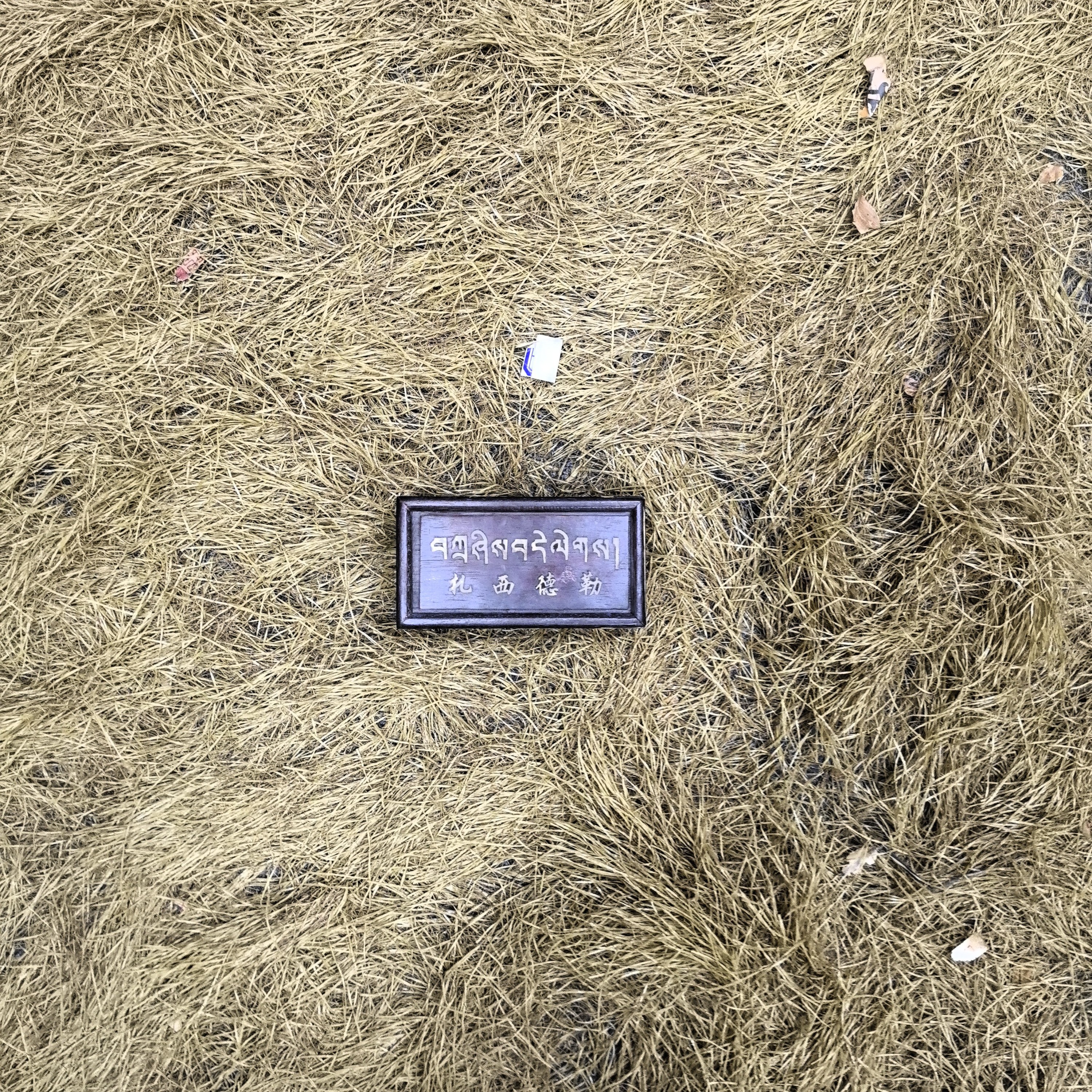 （闪购链接）榫卯盒子 扎西