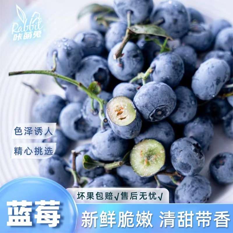 【咔萌兔】云南蓝莓2盒/4盒/6盒/8盒新鲜脆嫩 清甜带香